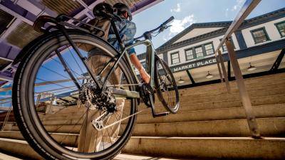 Trek FX+ 7 MS EU S Lichen Green Gloss Produktbild 6