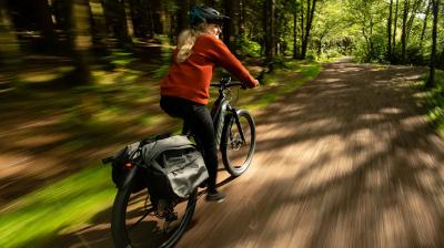 Trek Powerfly FS+ 4 EU M 29 Mercury/Dark Web Produktbild 5
