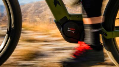 Trek PowerflyFS4 800EU L 29 Lithium / Trek Black Produktbild 3
