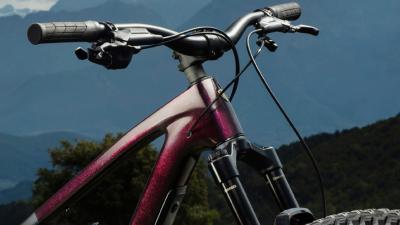 Trek Fuel LX 9 X0 AXS XL Lithium Grey / Trek Black Spla Produktbild 3