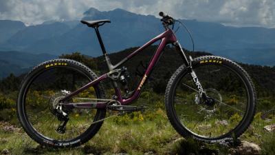 Trek Fuel LX 9 XT Di2 L Matte Juniper/Blue Sage Splatte Produktbild 5