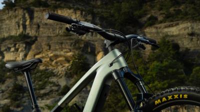 Trek FUEL+ MX 9.8 EA90 EU M Lichen Green/Keswick Green Produktbild 3