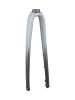 Trek Fork Rigid Trek Emonda ALR5 56-64cm Slate/Trek Bla